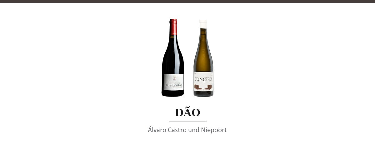 Dão: die Bergregion, in der Touriga Nacional zur Ruhe kommt - Weingaumen.com