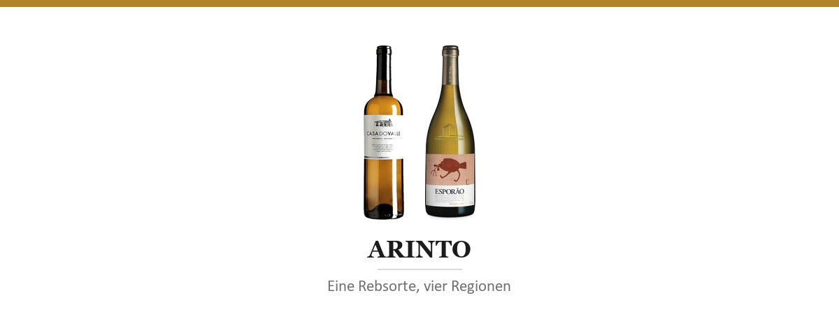 Arinto: die Rebsorte, die überall mitmischt, aber nirgends die Hauptrolle spielt - Weingaumen.com