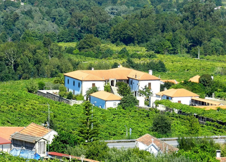 Reguengo De Melgaco — Weingut
